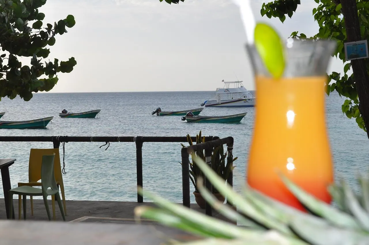 Hotel Paradise Island Beach Resort Punta Rucia